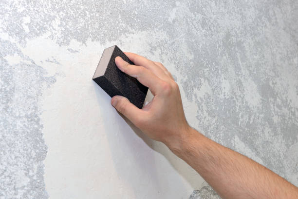 Best Comprehensive Air Testing for Mold Contaminants  in Boca Raton, FL