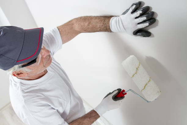 Best Black Mold Removal  in Boca Raton, FL