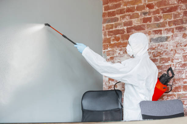 Best HVAC Mold Inspection and Cleaning  in Boca Raton, FL