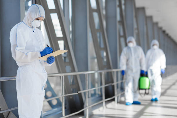 Mold Odor Removal Services in Boca Raton, FL