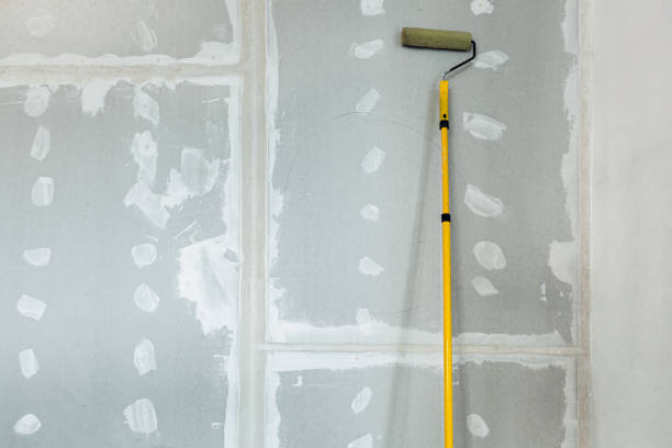 Best Real Estate Mold Inspection  in Boca Raton, FL