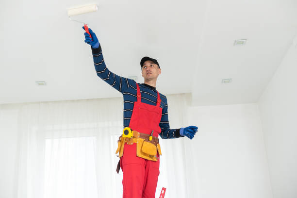 Best Mold Prevention Services  in Boca Raton, FL