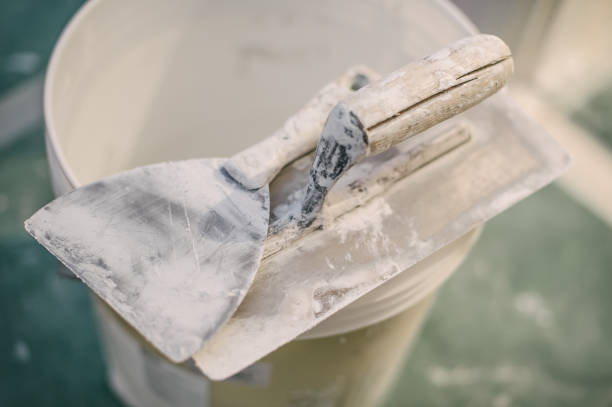 Best Post-Construction Mold Inspection  in Boca Raton, FL