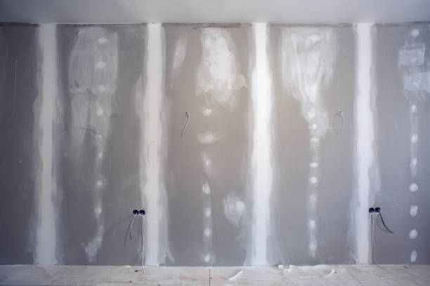 Best Industrial Mold Remediation  in Boca Raton, FL