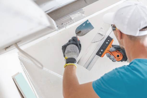 Best Basement Mold Removal  in Boca Raton, FL